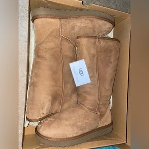 Tall chestnut uggs